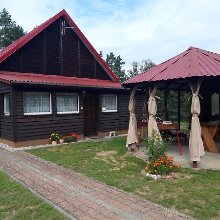 Pokoje w lesie Miłomłyn Exteriér fotografie