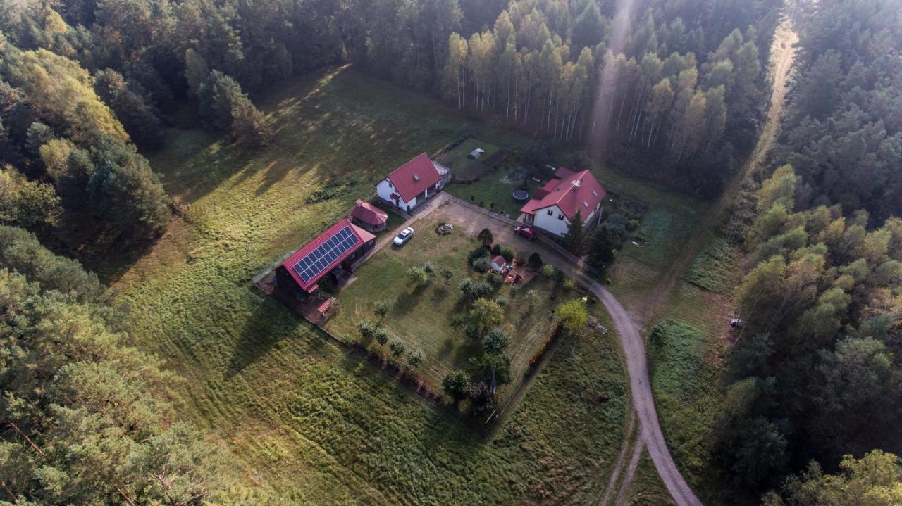 Pokoje w lesie Miłomłyn Exteriér fotografie
