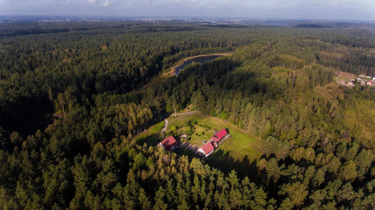 Pokoje w lesie Miłomłyn Exteriér fotografie