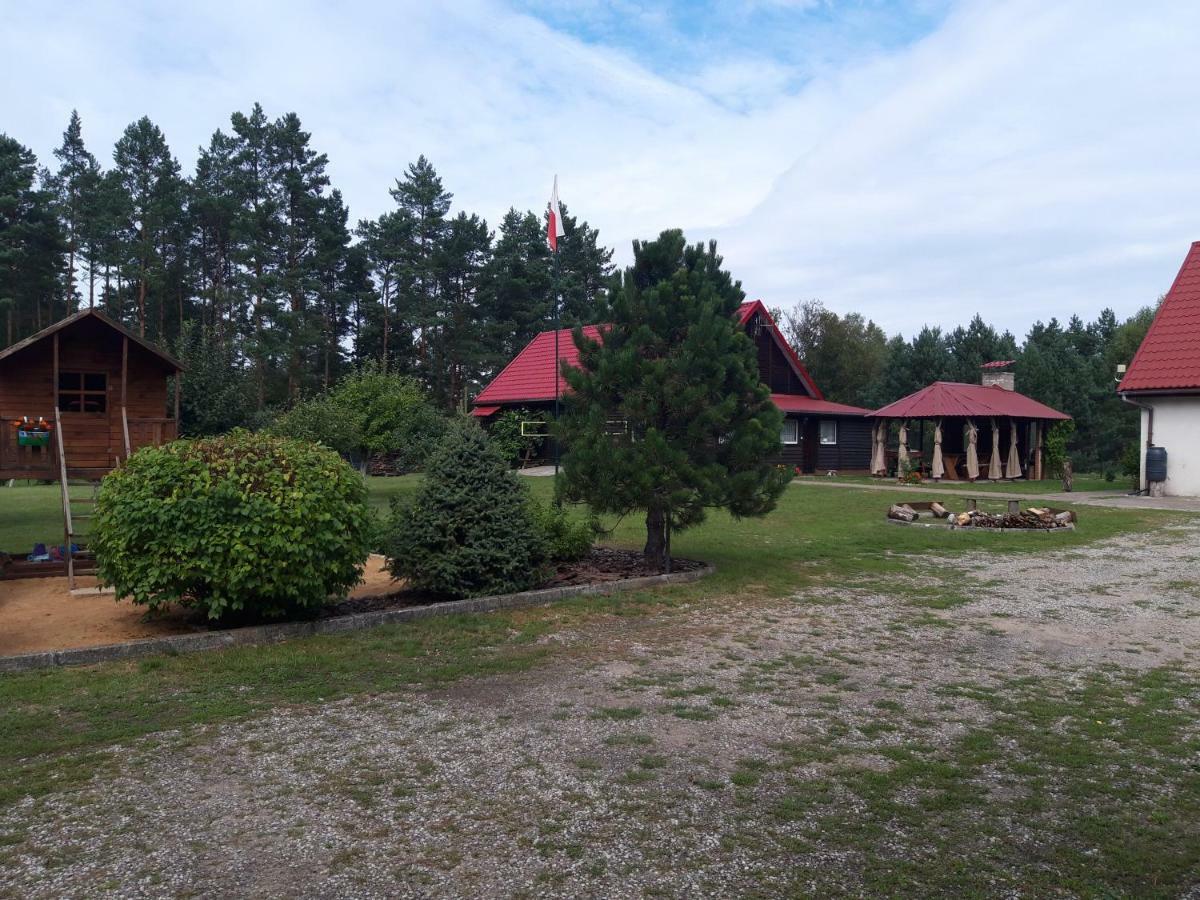 Pokoje w lesie Miłomłyn Exteriér fotografie