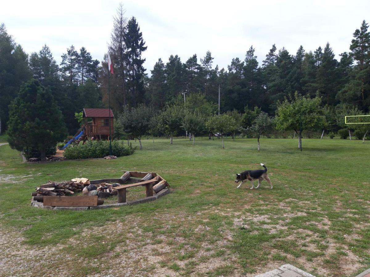 Pokoje w lesie Miłomłyn Exteriér fotografie