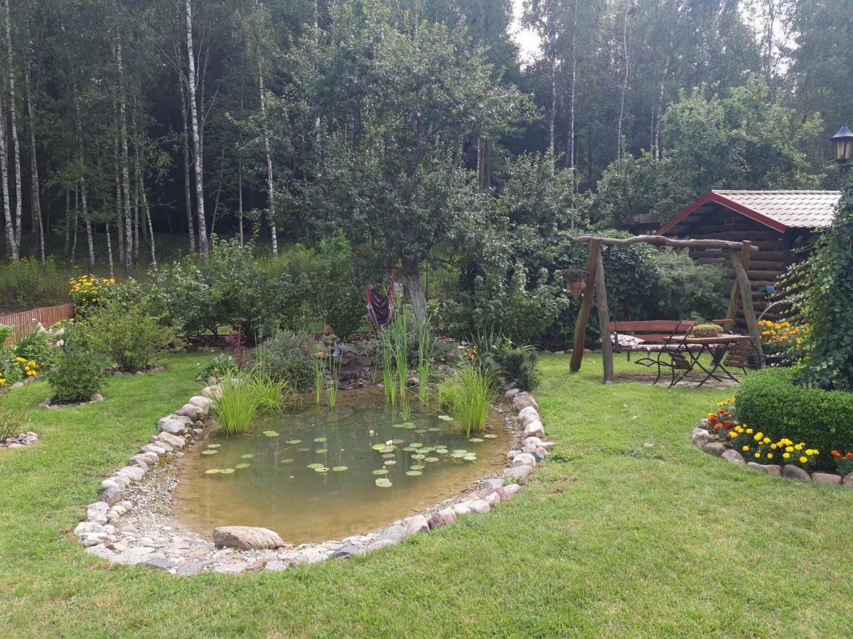 Pokoje w lesie Miłomłyn Exteriér fotografie